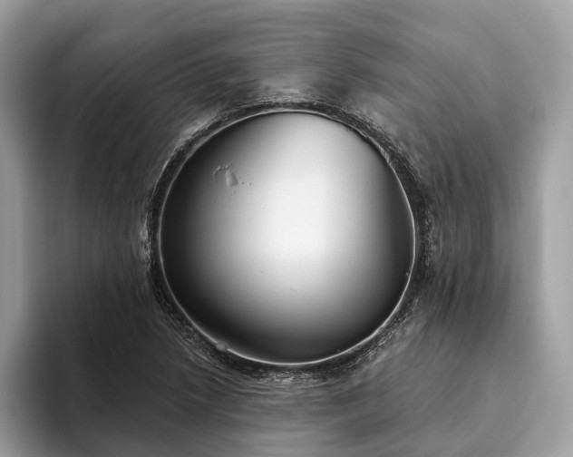 X0000093621218200710221540