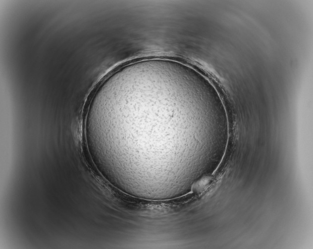 X0000093621220200710221540