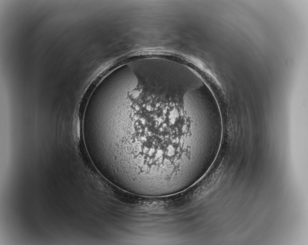 X0000093621221200710221540