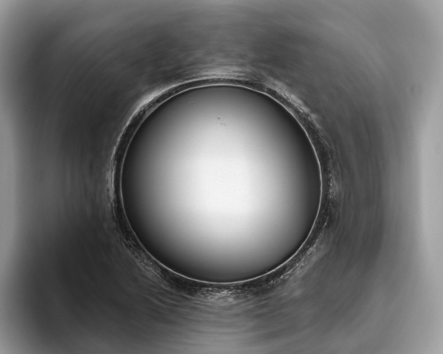 X0000093621222200710221540