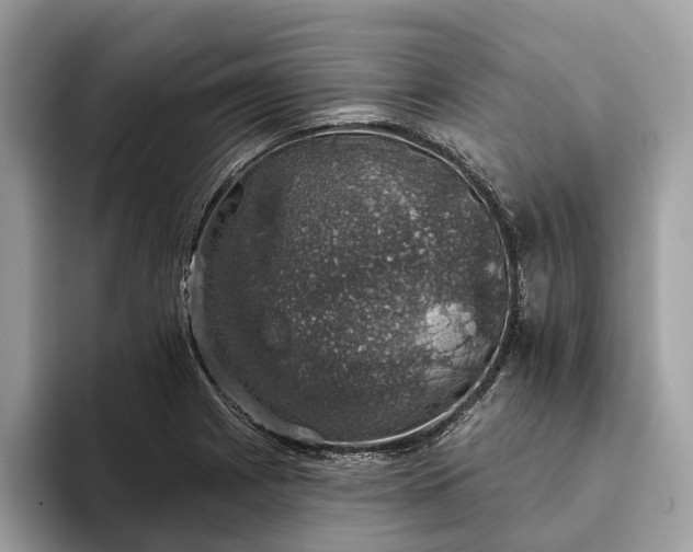 X0000093621225200710221540