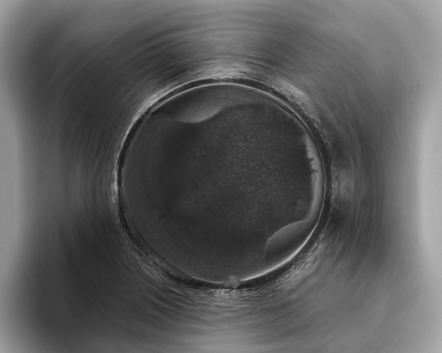 X0000093621226200710221540