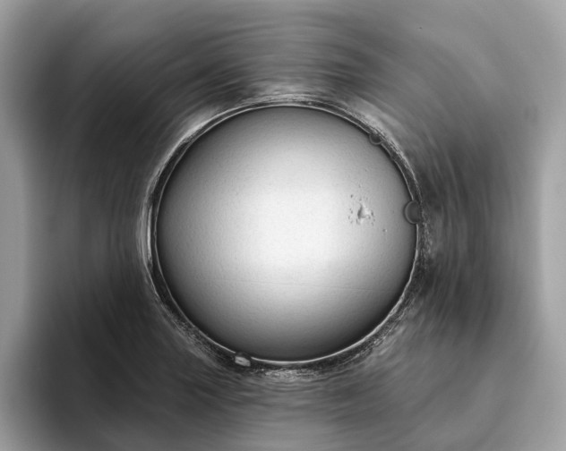X0000093621227200710221540