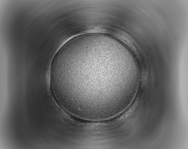 X0000093621228200710221540