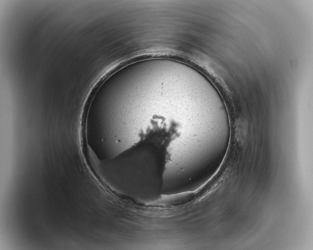 X0000093621229200710221540