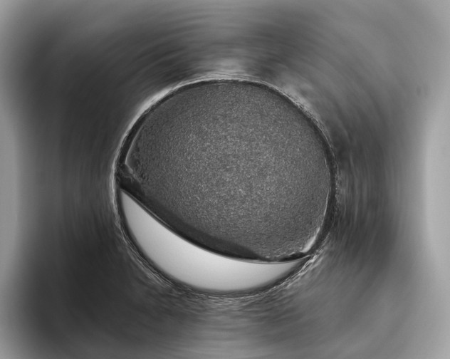 X0000093621230200710221540