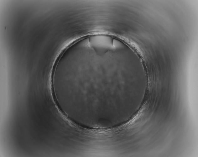 X0000093621231200710221540