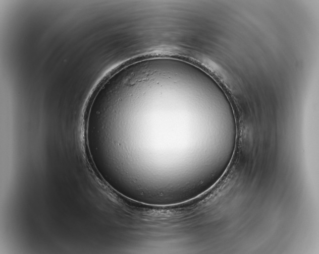 X0000093621232200710221540