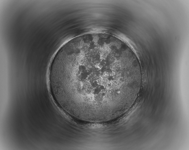 X0000093621235200710221540