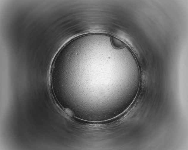 X0000093621236200710221540