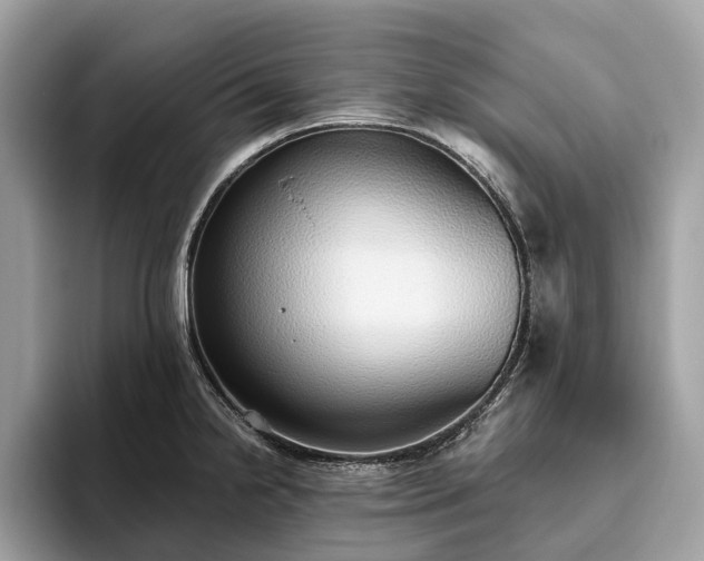 X0000093621238200710221540