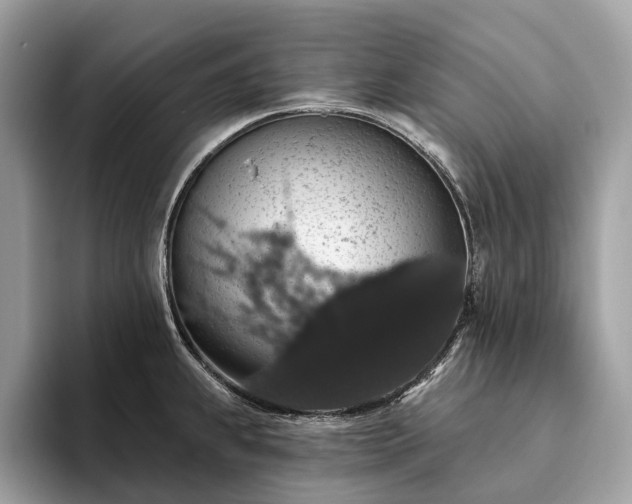 X0000093621239200710221540