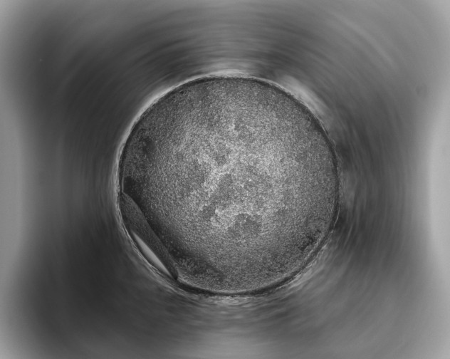 X0000093621240200710221540