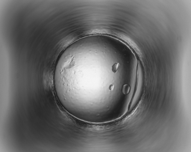 X0000093621241200710221540