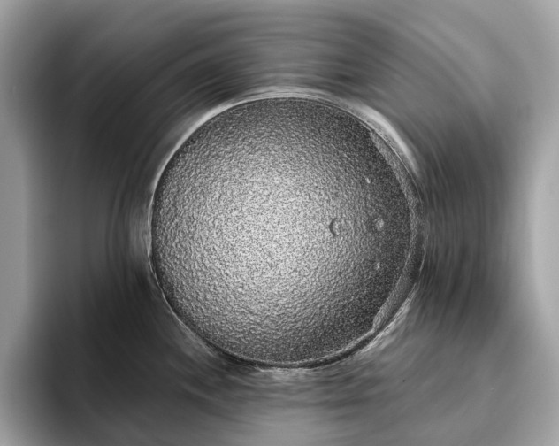 X0000093621244200710221540