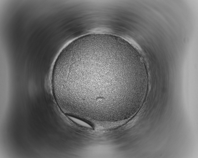 X0000093621248200710221540