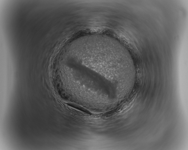 X0000093621249200710221540