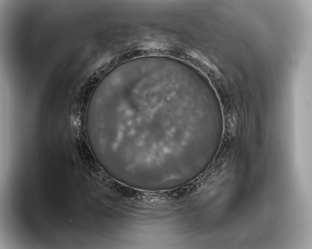 X0000093621254200710221540