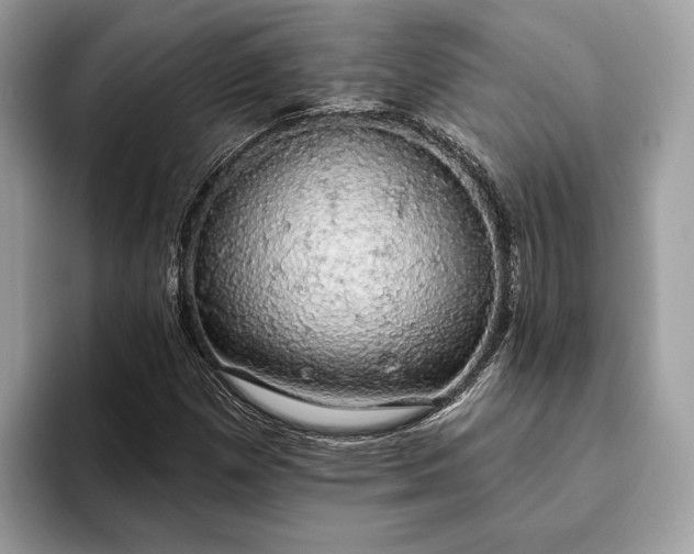 X0000093621257200710221540