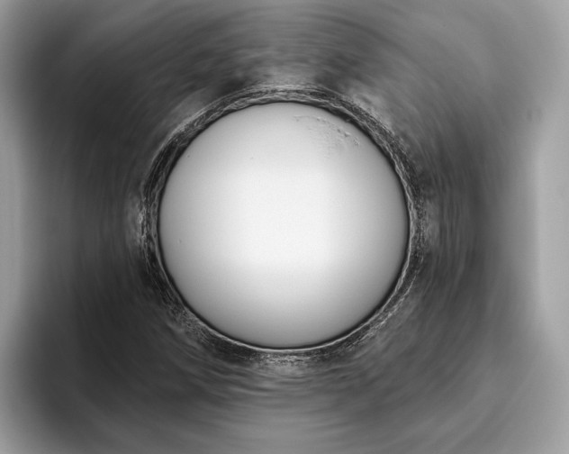 X0000093621258200710221540