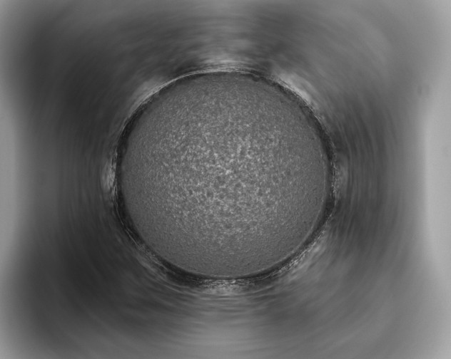X0000093621259200710221540