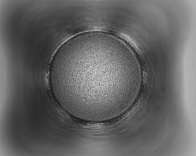 X0000093621260200710221539