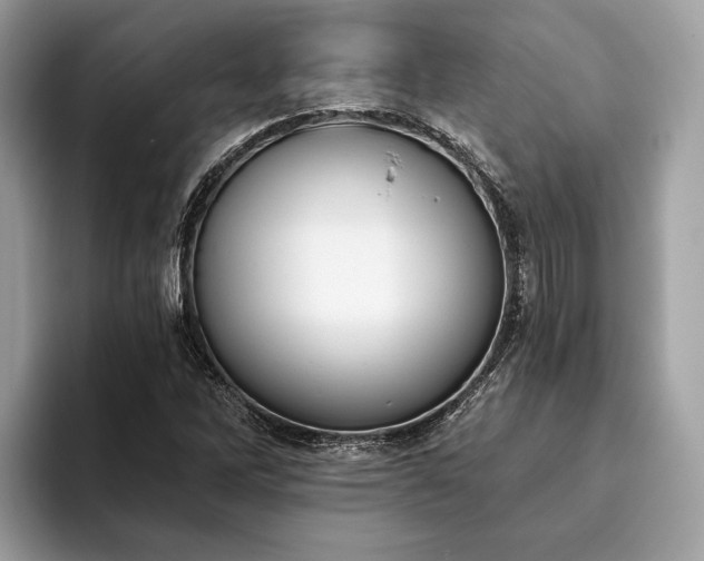 X0000093621262200710221539