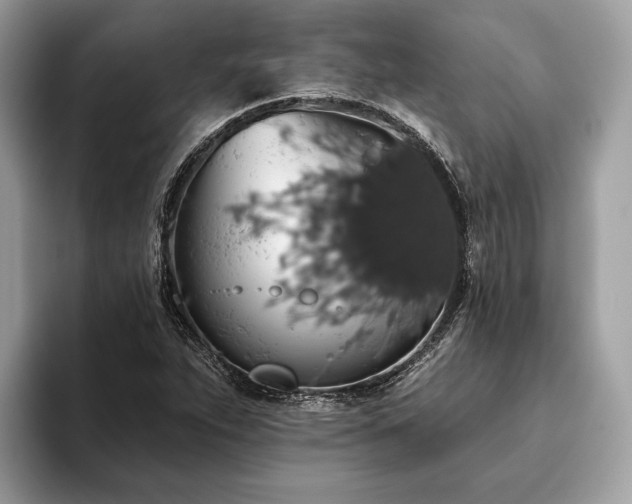 X0000093621263200710221539
