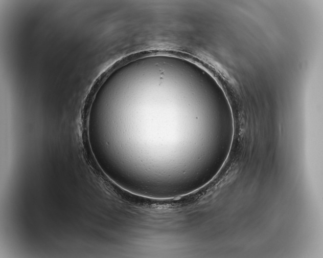 X0000093621264200710221539