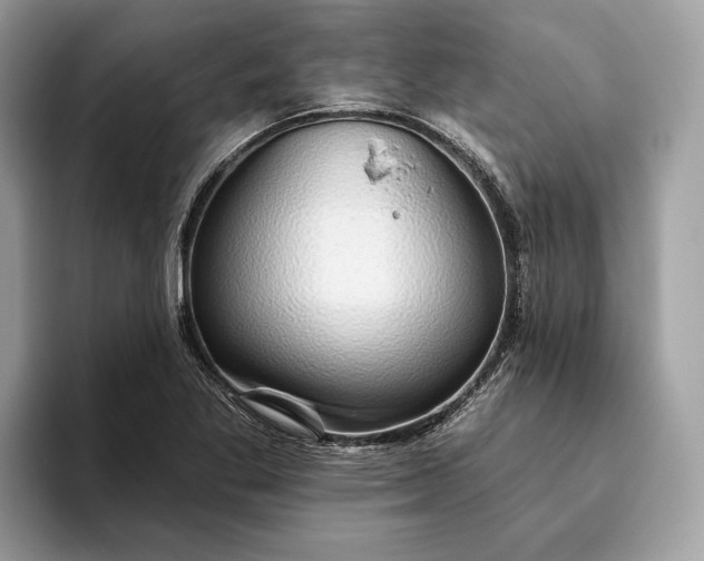 X0000093621269200710221539