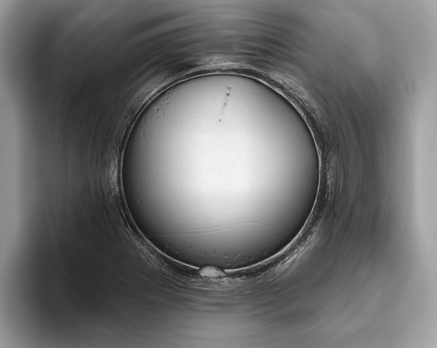 X0000093621273200710221539