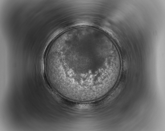X0000093621274200710221539