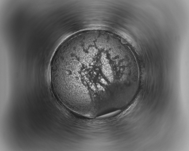 X0000093621275200710221539