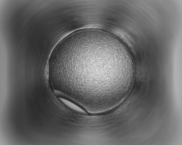 X0000093621276200710221539