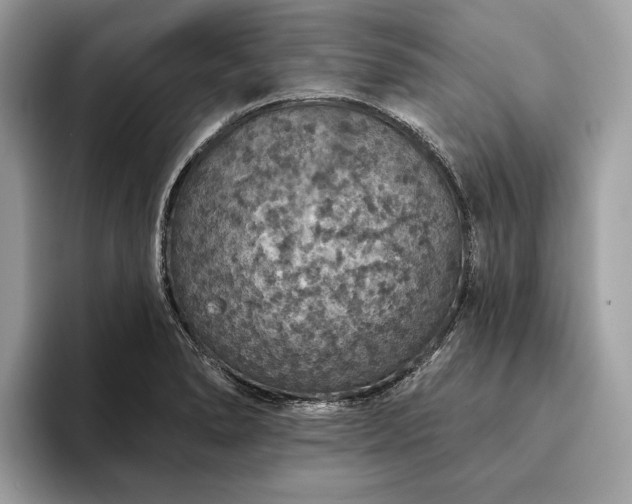 X0000093621278200710221539