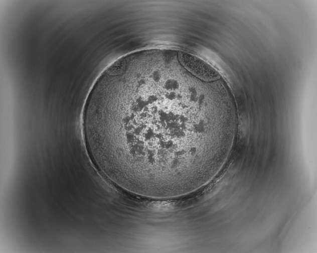 X0000093621283200710221539