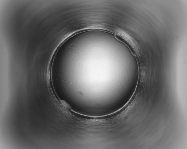 X0000093621284200710221539