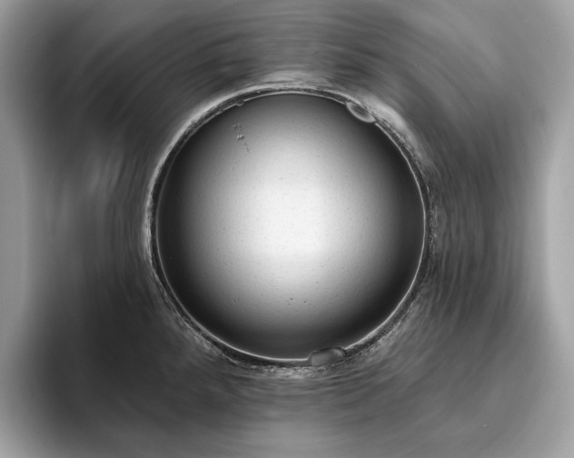 X0000093621288200710221539