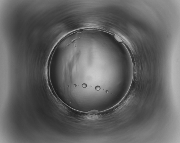 X0000093621291200710221539