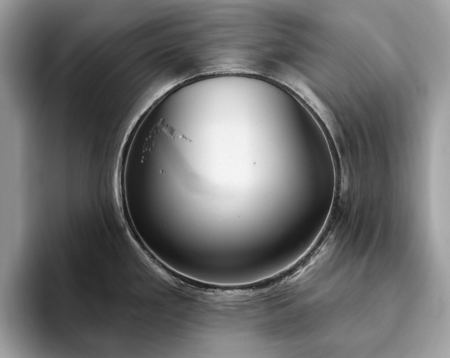 X0000093621293200710221539