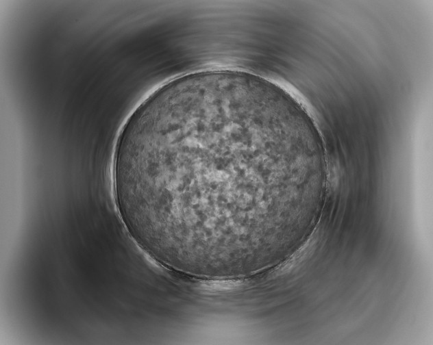 X0000093621294200710221539