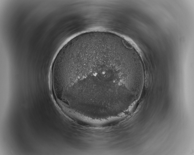 X0000093621295200710221539