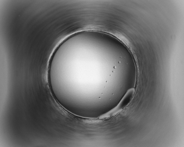 X0000093621296200710221539