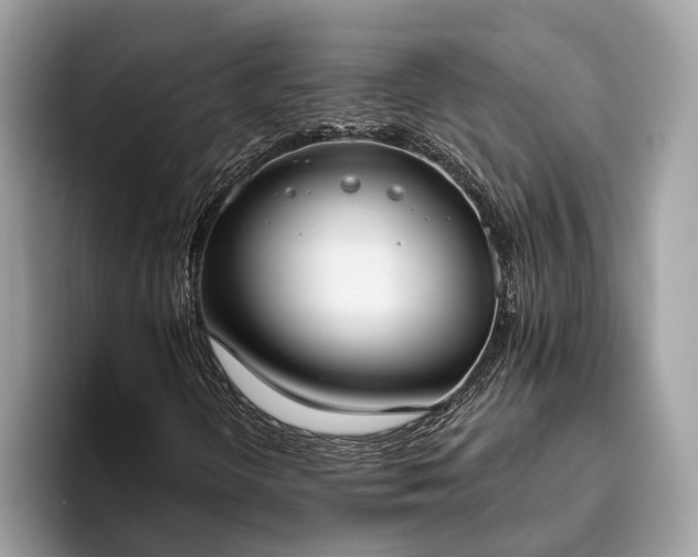 X0000093621298200710221539