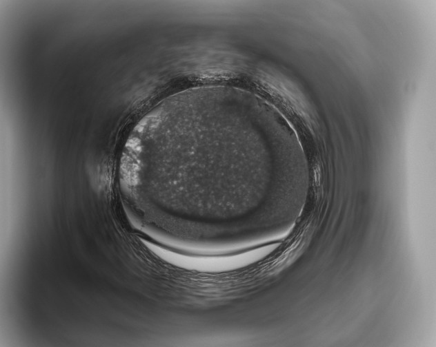 X0000093621300200710221539