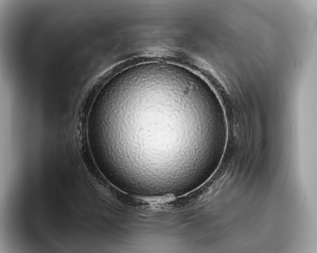 X0000093621304200710221539
