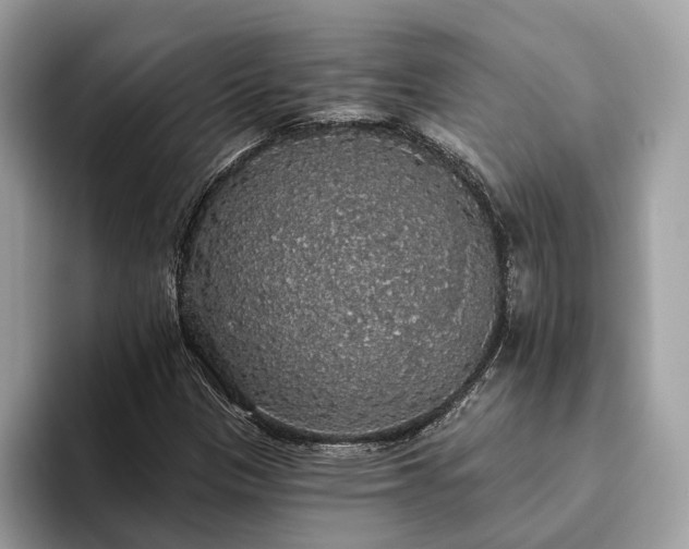 X0000093621305200710221539