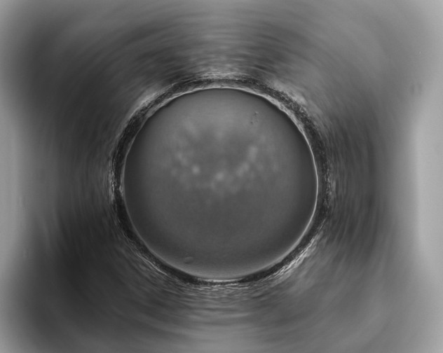 X0000093621306200710221539
