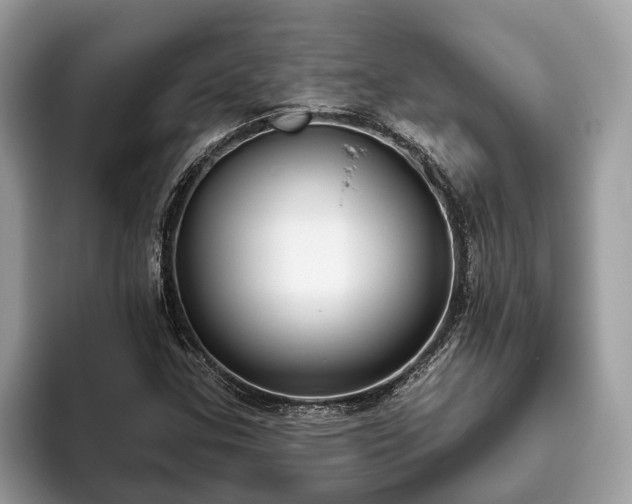X0000093621307200710221539