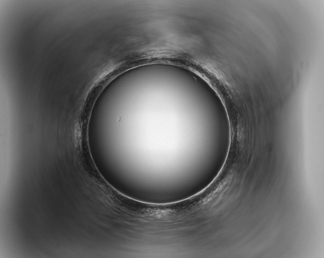 X0000093621309200710221539